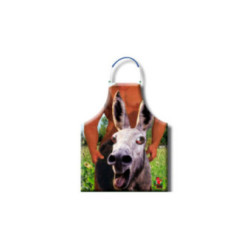 DIABLO PICANTE - GREMBIULE ASINO