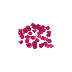 DIABLO PICANTE - 100 PETALI FUCSIA