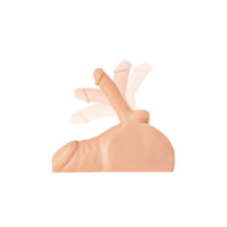 PDX PLUS - MASTURBATORE PERFETTO DEL PENE E DELL'ANO