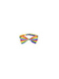 PRIDE - PAPILLON CON BANDIERA LGBT