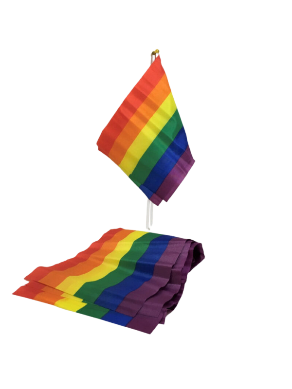 PRIDE - BANDIERA PICCOLA BANDIERA LGBT