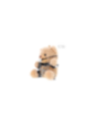 FETISH SUBMISSIVE - FOZZIE TEDDY BEAR MODELLO BDSM 3