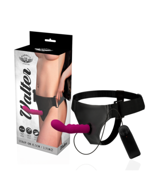 HARNESS ATTRACTION - RNES WALTER CON VIBRAZIONE 15