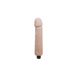 BAILE - DILDO VIBRATORE LOVE COMPANION 25 CM