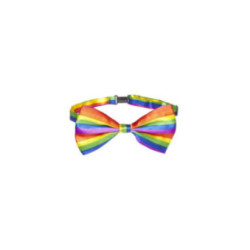 PRIDE - PAPILLON CON BANDIERA LGBT