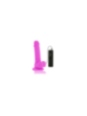 DIVERSIA - DILDO VIBRANTE FLESSIBILE VIOLA 20