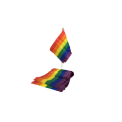 PRIDE - BANDIERA PICCOLA BANDIERA LGBT