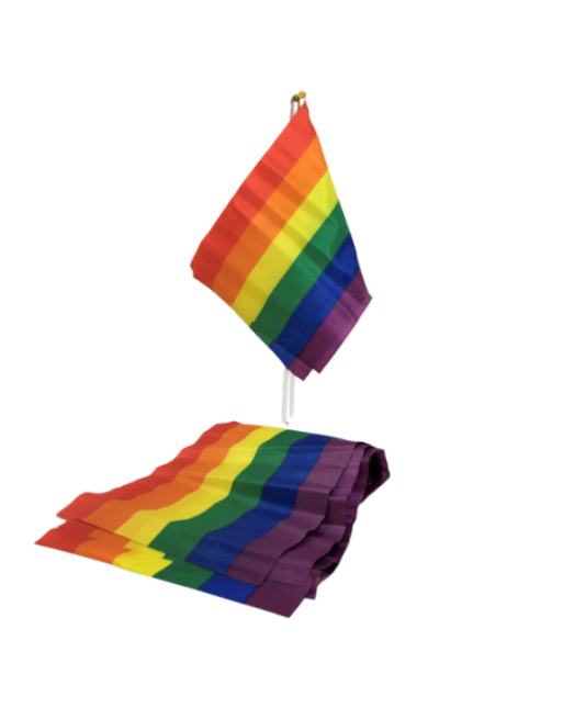 PRIDE - BANDIERA PICCOLA BANDIERA LGBT