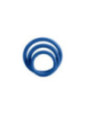 CALEXOTICS - TRI-ANELLI BLU