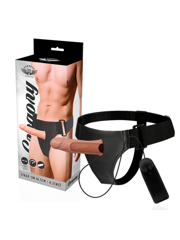 HARNESS ATTRACTION - GREGORY HOLLOW RNES CON VIBRATORE 16