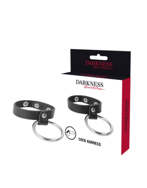 DARKNESS - ANELLO IN METALLO PER PENE E TESTICOLI