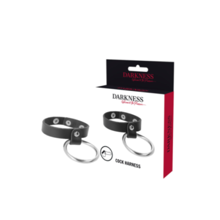 DARKNESS - ANELLO IN METALLO PER PENE E TESTICOLI