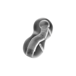 JAMYJOB - EXTREME TENSEK 3 MASTURBATORE CHIARO