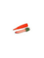 DIAVOLO PICCANTE - PENE DI CAROTA