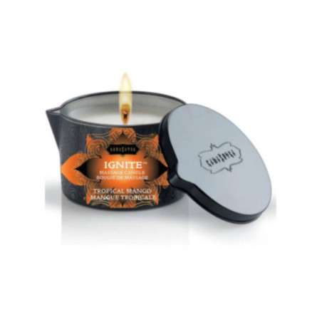 KAMASUTRA - CANDELA DA MASSAGGIO KAMASUTRA - MANICO TROPICALE 170 GR