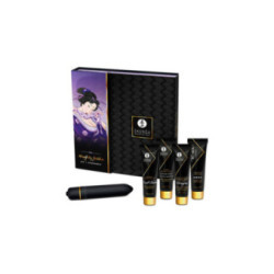 SHUNGA - KIT GEISHA CATTIVA