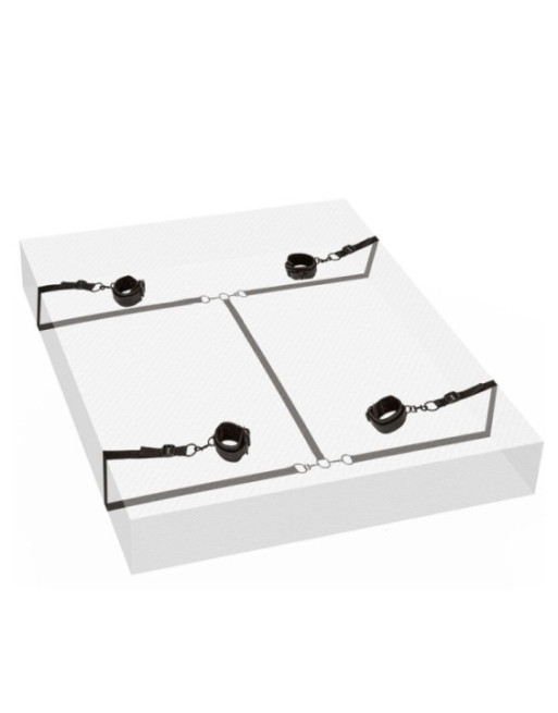 CALEXOTICS - CONTENUTO ROSSO SENZA LIMITI