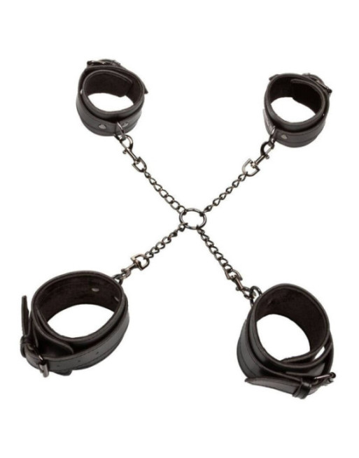 CALEXOTICS - EUPHORIA HOG TIE