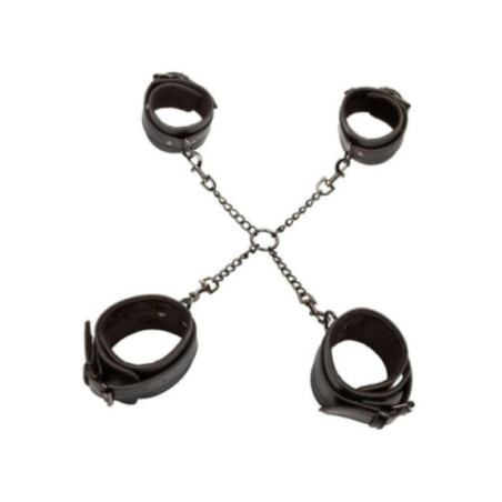 CALEXOTICS - EUPHORIA HOG TIE