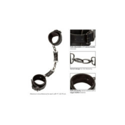 CALEXOTICS - EUPHORIA POLSINI