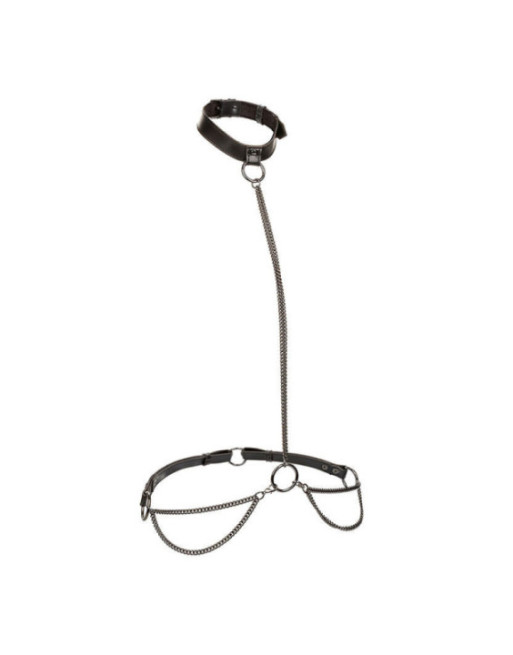 CALEXOTICS - EUPHORIA COLLARE A CATENA E GUINZAGLIO