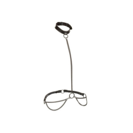 CALEXOTICS - EUPHORIA COLLARE A CATENA E GUINZAGLIO