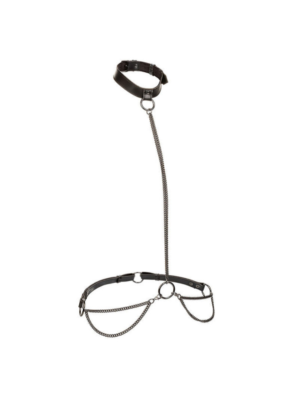 CALEXOTICS - EUPHORIA COLLARE A CATENA E GUINZAGLIO