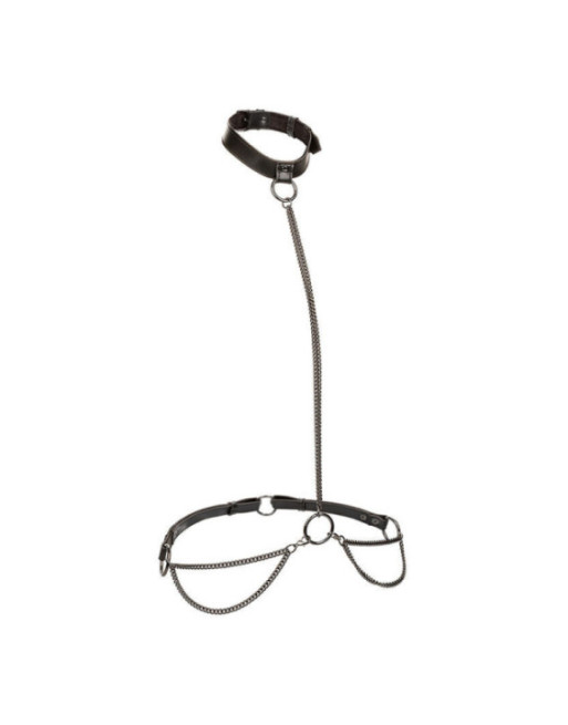 CALEXOTICS - EUPHORIA COLLARE A CATENA E GUINZAGLIO TAGLIA PIÙ GRANDE