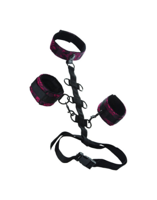 CALEXOTICS - SCANDAL COMPORAL SUPPORT CON COLLO