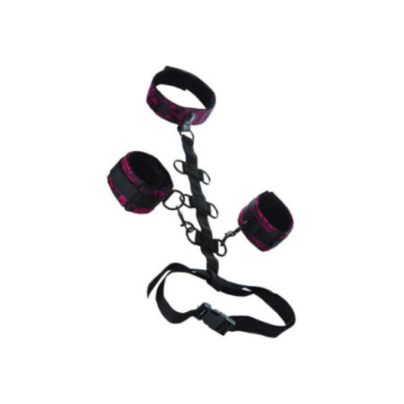 CALEXOTICS - SCANDAL COMPORAL SUPPORT CON COLLO