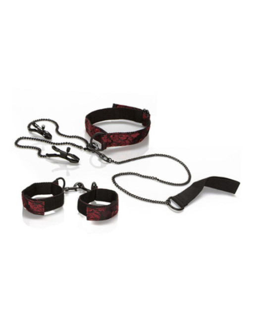 CALEXOTICS - SCANDAL KIT PER LA PRESENTAZIONE