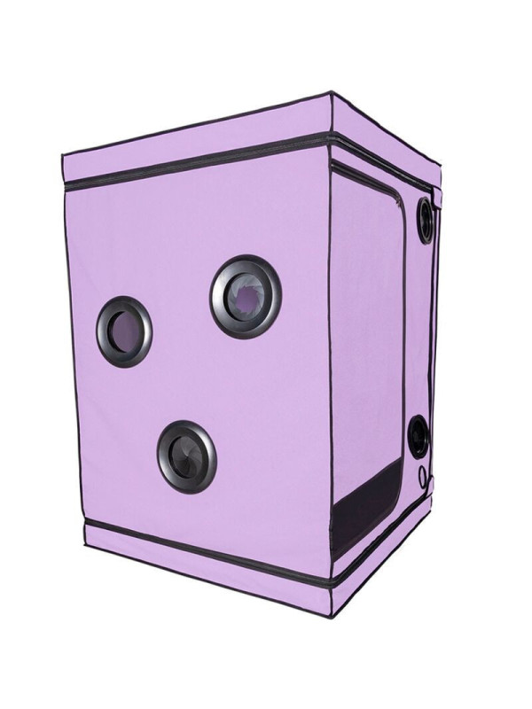 SECRET DOME - KINK CLUB CABIN SCANDALE VIOLA