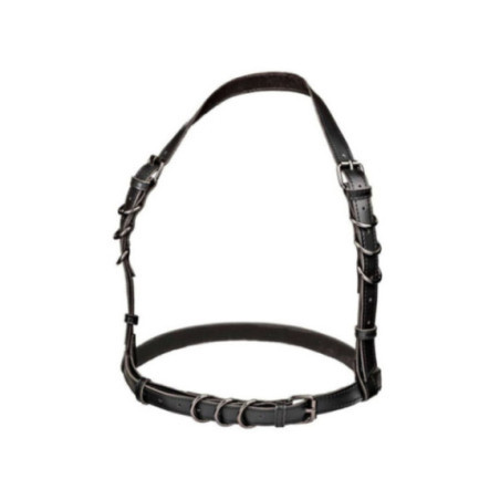 CALEXOTICS - EUPHORIA IMBRACATURA CON FIBBIA PLUS TAGLIA NERA