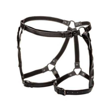 CALEXOTICS - EUPHORIA PETTORINA DA EQUITAZIONE PLUS TAGLIA