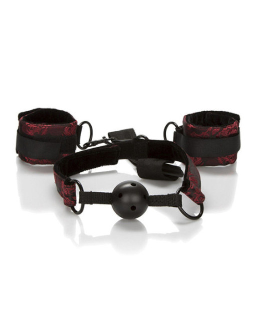 CALEXOTICS - SCANDAL BALL GAG TRASPIRANTE CON MANETTE