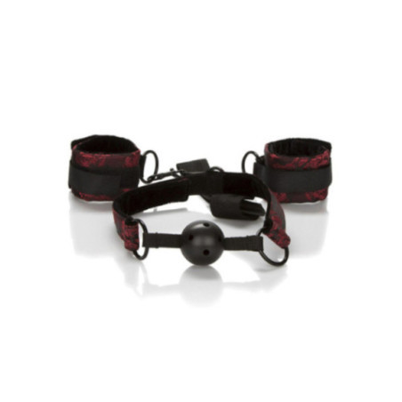 CALEXOTICS - SCANDAL BALL GAG TRASPIRANTE CON MANETTE