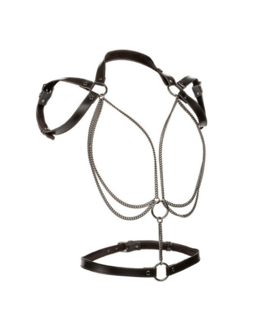 CALEXOTICS - EUPHORIA MULTICHAIN HALTER HARNESS PREMIUM