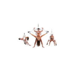FETISH FANTASY SERIES - FANTASY BONDAGE ALTALENA