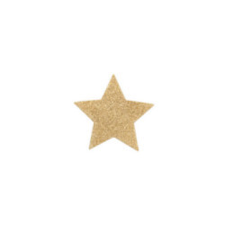 BIJOUX - INDISCRETS COPRI CAPEZZOLI FLASH GOLDEN STAR