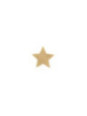 BIJOUX - INDISCRETS COPRI CAPEZZOLI FLASH GOLDEN STAR