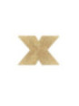 BIJOUX - INDISCRETS COPRI CAPEZZOLI FLASH ORO