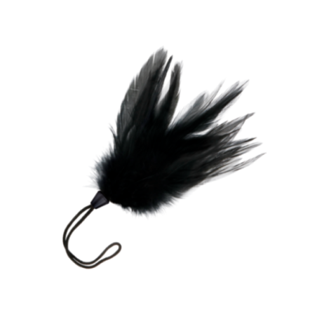 DARKNESS - PENNA STIMOLANTE NERA 17 CM