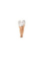 LEG AVENUE - CALZE A RETE CRISTALLIZZATA CARAMEL TAGLIA FORTE