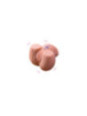 XISE - CONNIE BACK MASTURBATOR VAGINA E ANO REALISTICO MULTIPOSIZIONE CON VIBRAZIONE