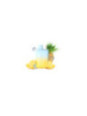 LOST MARY - BM600 NICOTINA VAPER 2% MONOUSO ANANAS GHIACCIO