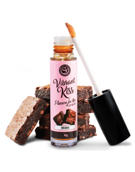 SECRETPLAY - LUCIDA LABBRA VIBRANT KISS BROWNIE