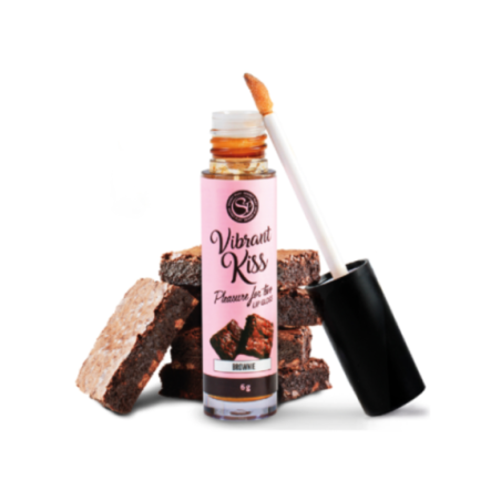 SECRETPLAY - LUCIDA LABBRA VIBRANT KISS BROWNIE